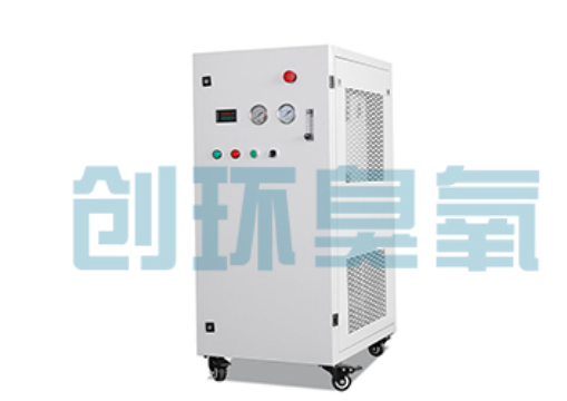 林芝石斑鱼养殖水质调控完整指南:臭氧发生器配置与操作步骤